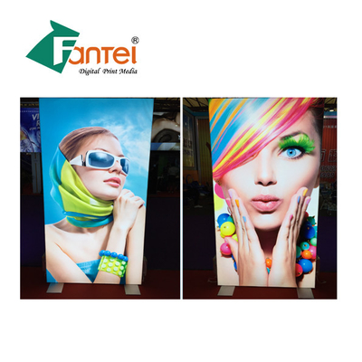 A malha da urdidura de FENGTAI levanta Windproof das bandeiras da exposição personalizado